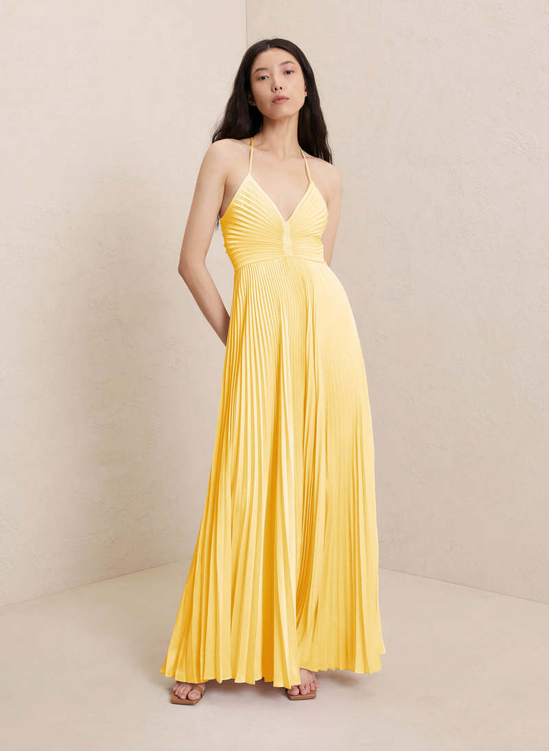 Lilia | Robe Longue Plissée Dos Nu