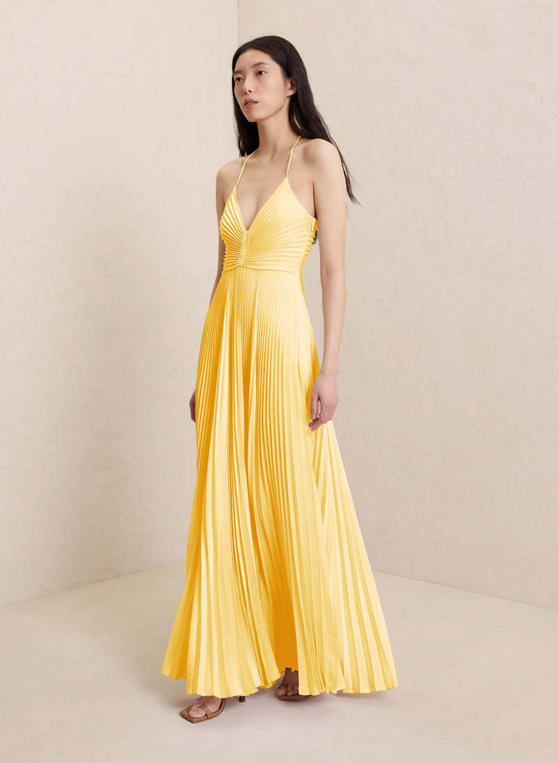 Lilia | Robe Longue Plissée Dos Nu