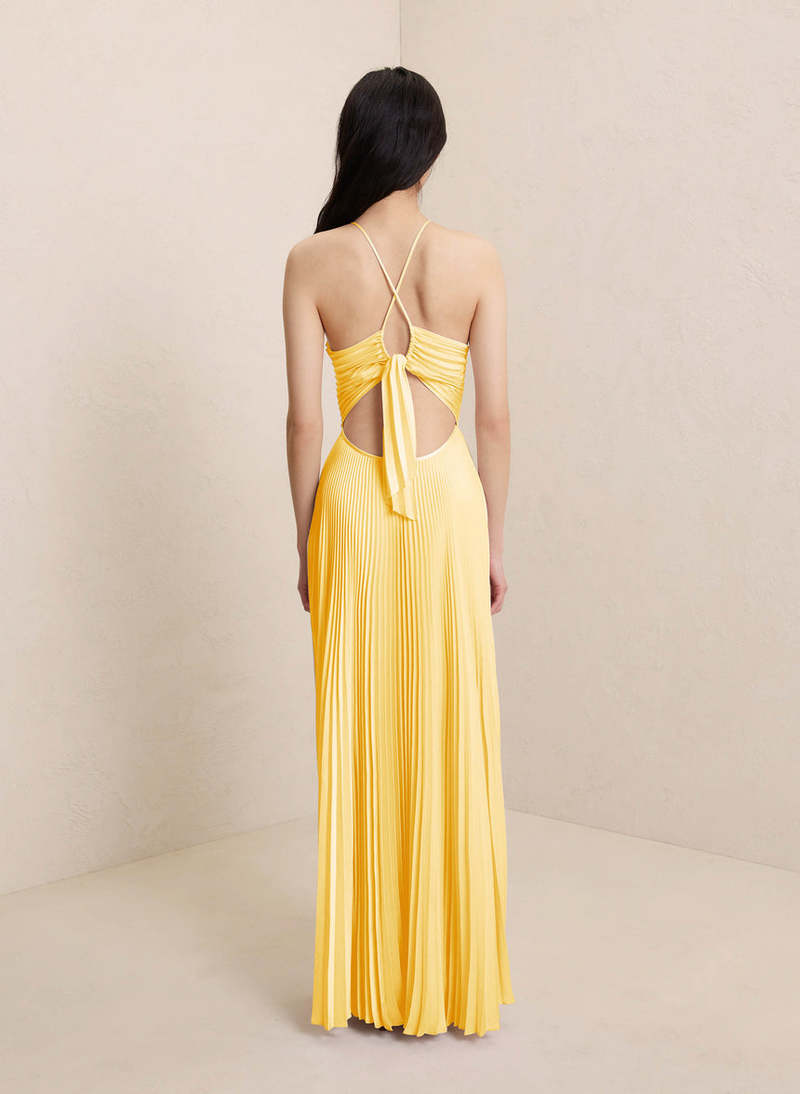 Lilia | Robe Longue Plissée Dos Nu